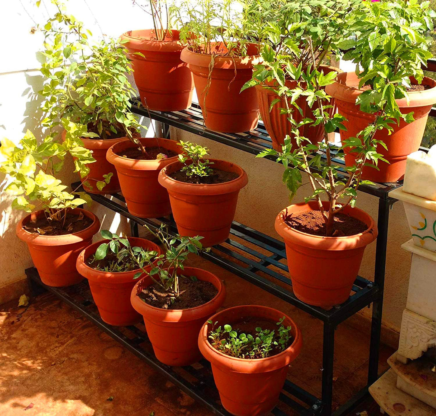Flower Pots 6 inch (Pack of 12)