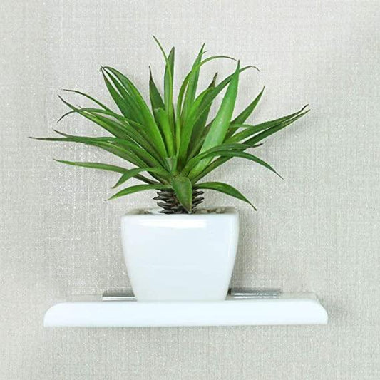 Acrylic Floating Shelves - TruVeli