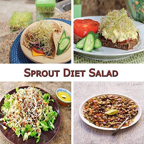 Sprout Maker With 4 Container