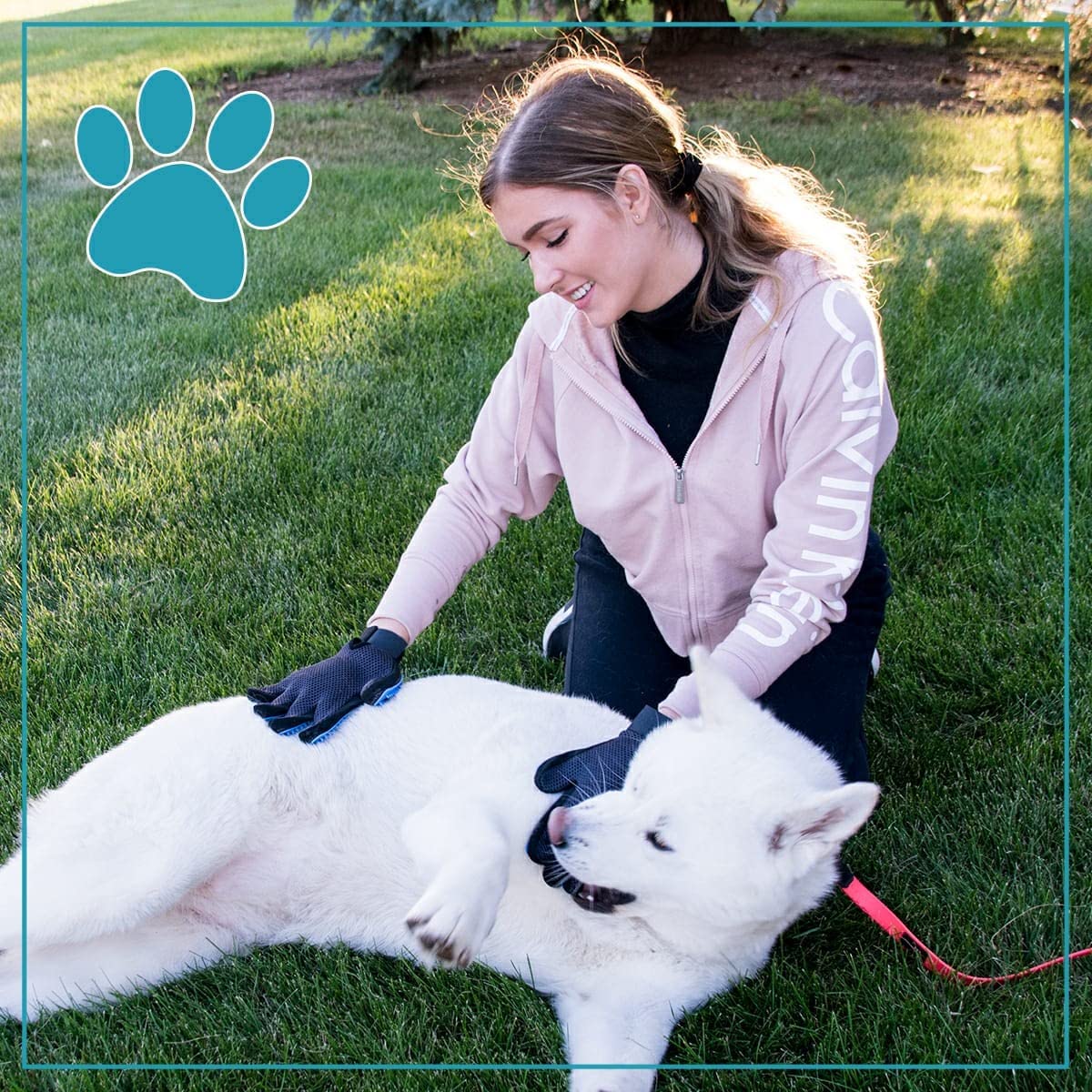 Pet Grooming Glove