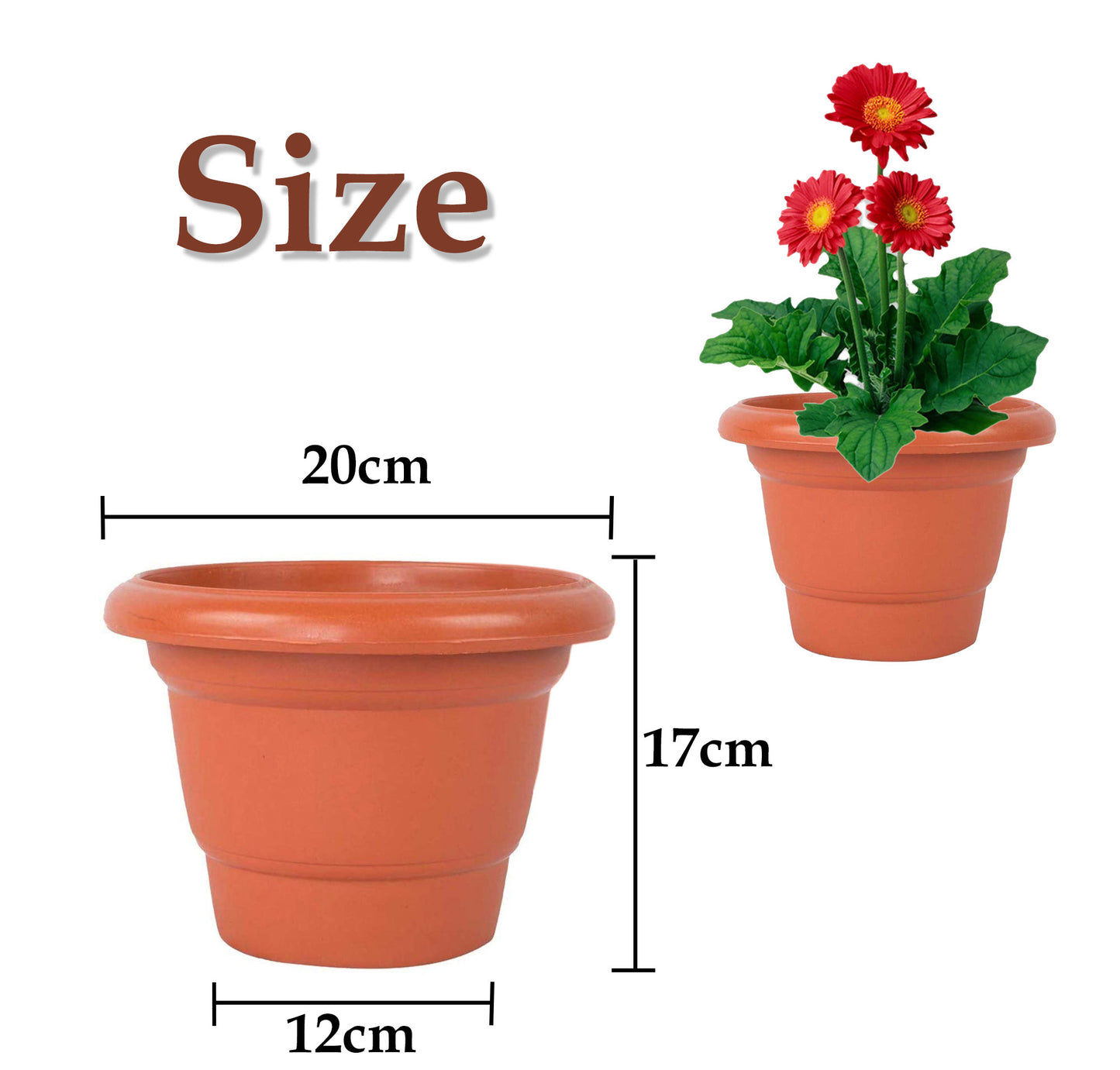 Flower Pots 8 inch (Pack of 6)