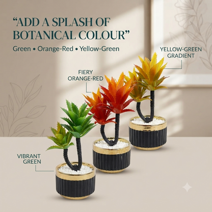 Artificial Aloe & Succulent Potted Plants Mix (Pack Of 1)