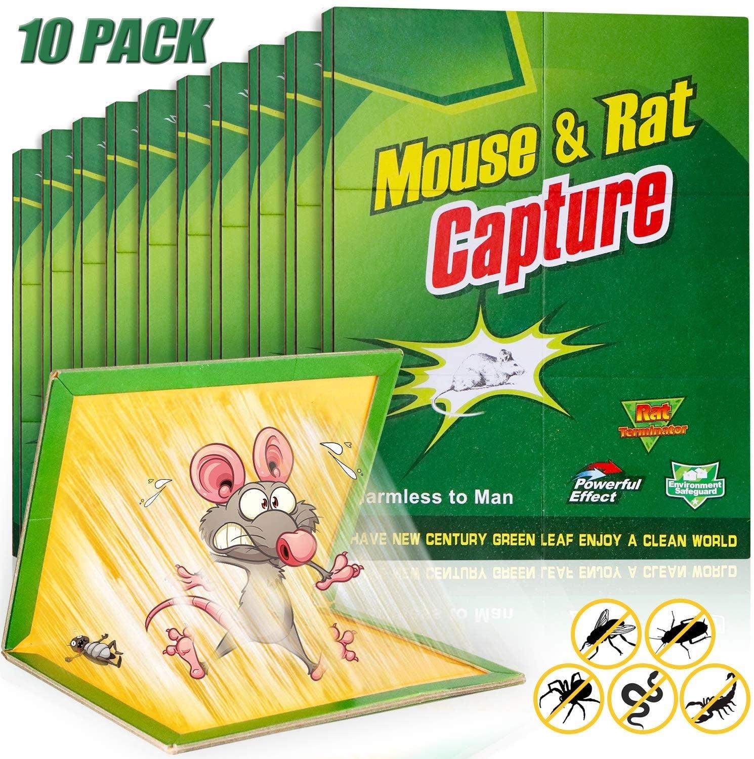 Mouse Glue Trap Pack of 10 - TruVeli