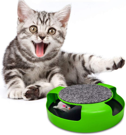 Interactive Cat Toy