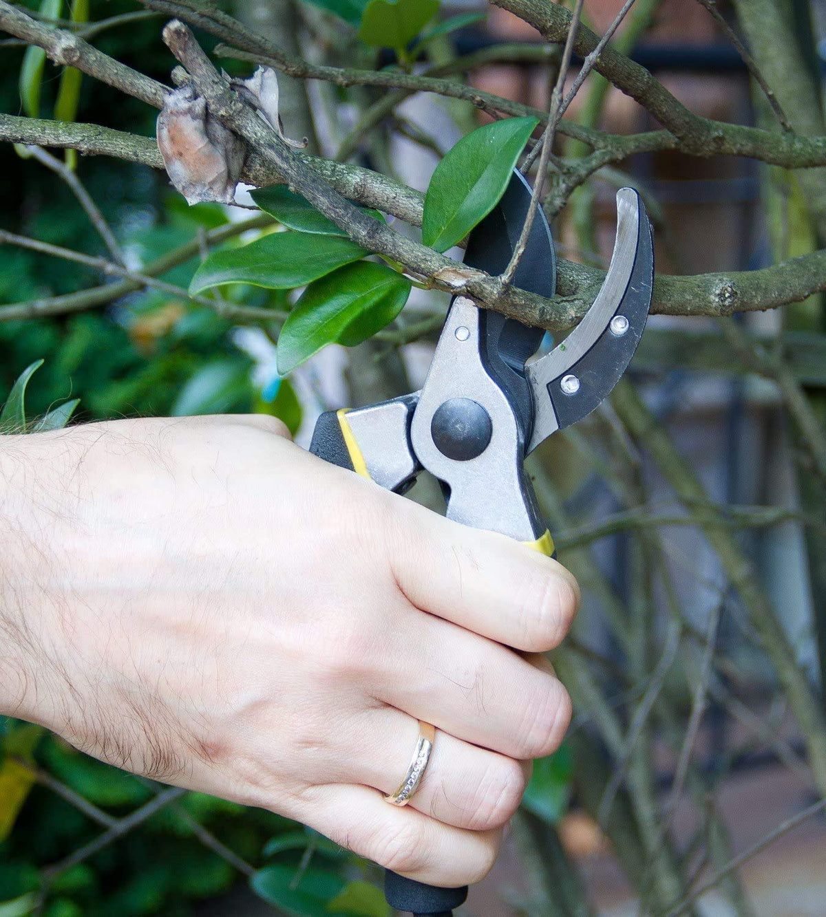 Garden Pruning Shears