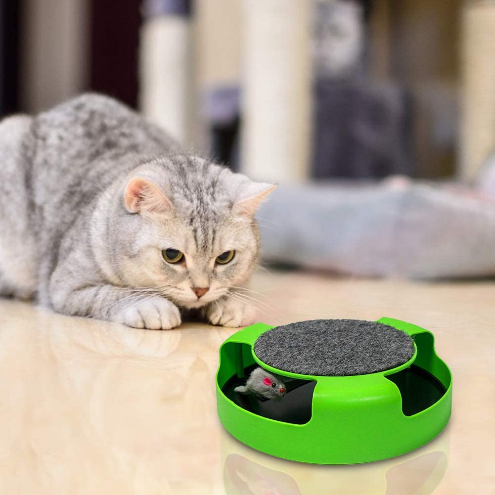 Interactive Cat Toy