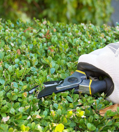 Garden Pruning Shears