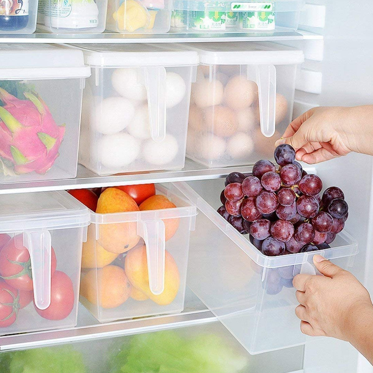 Kitchen Organizer Container Pack of 1