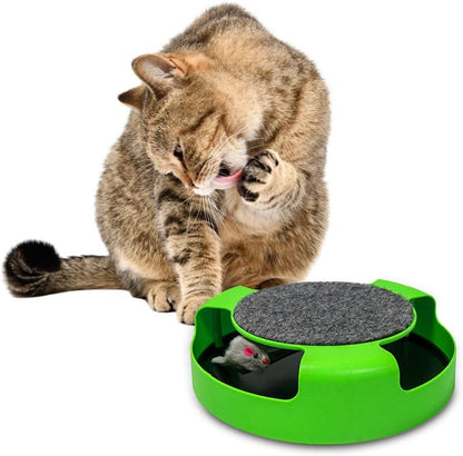 Interactive Cat Toy