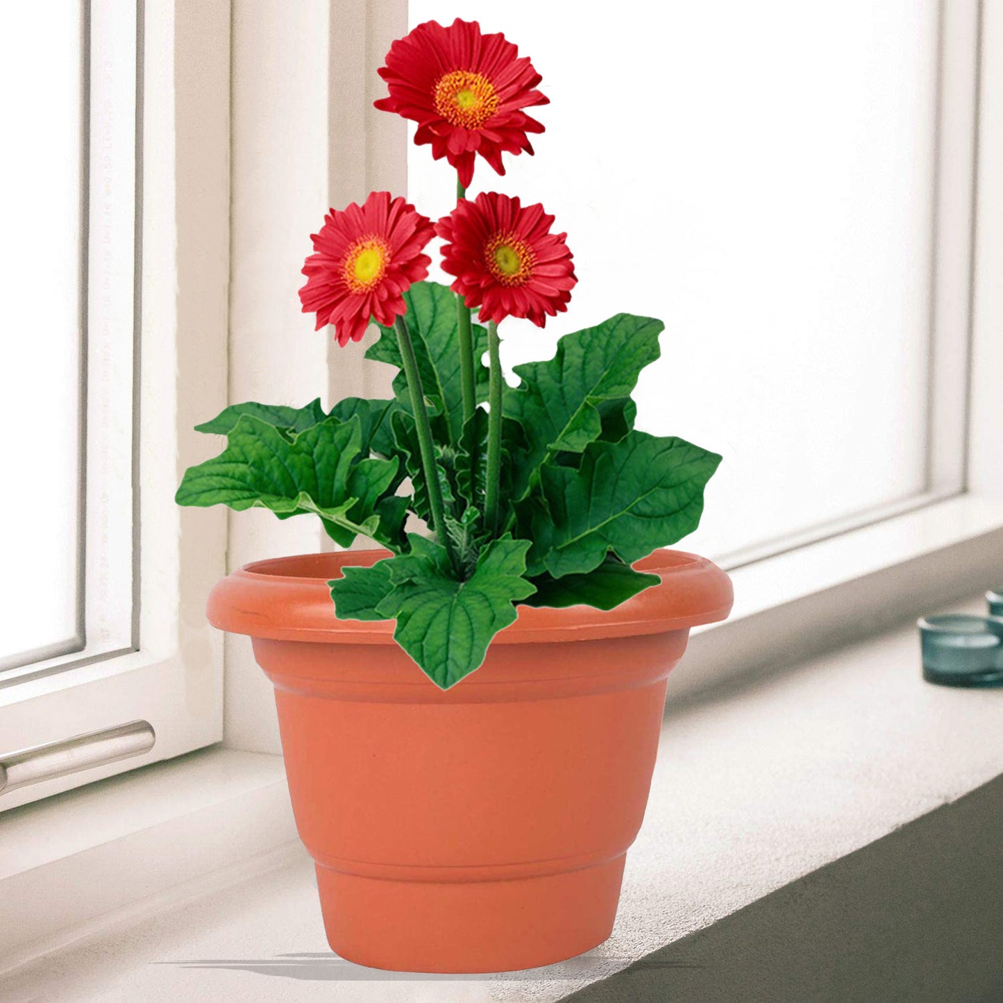 Flower Pots 10 inch (Pack of 12)