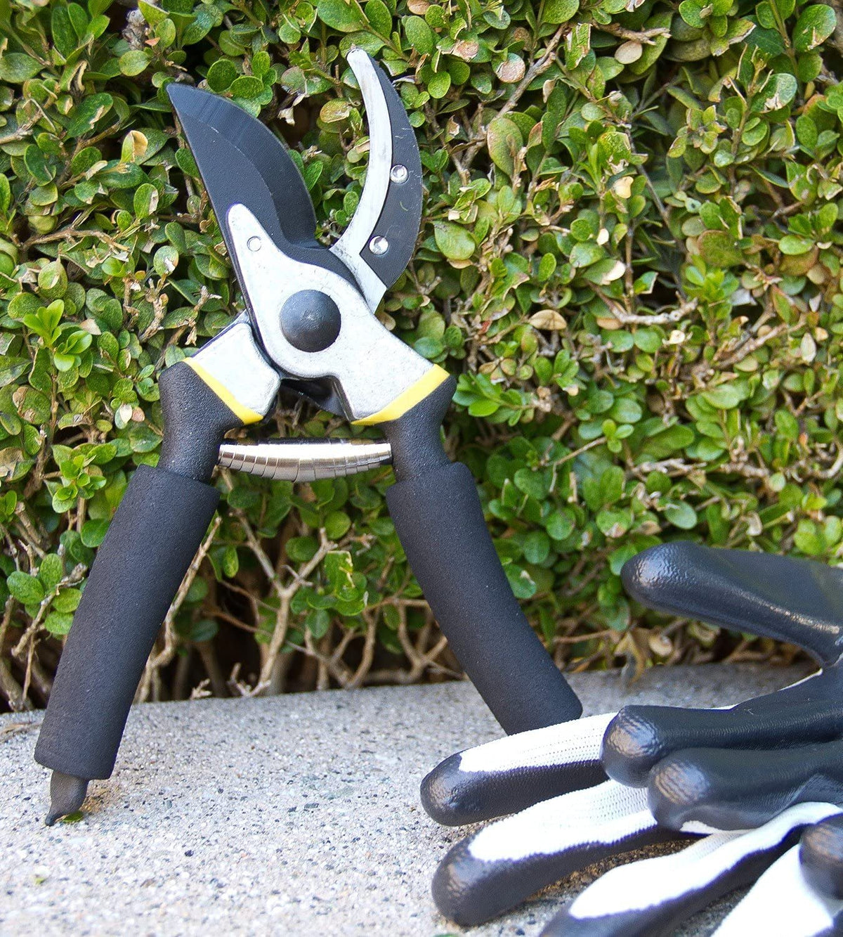 Garden Pruning Shears