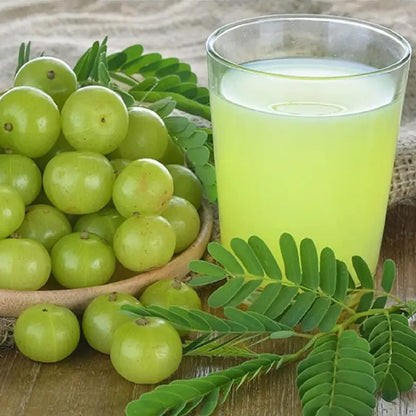 TruSwag Amla Powder