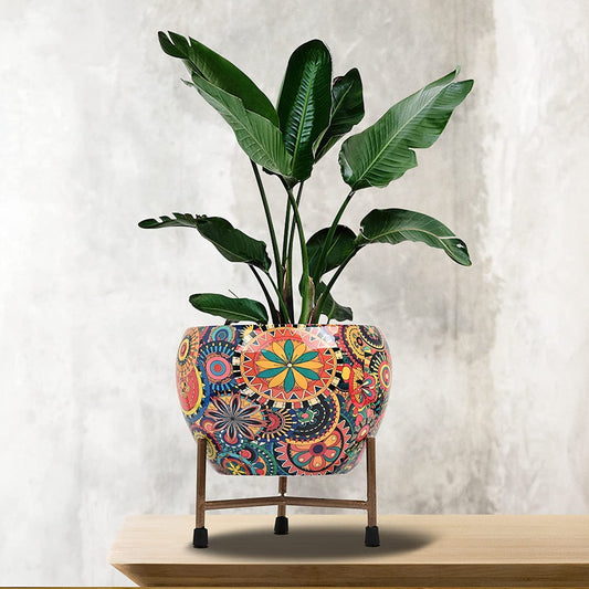 Printed Flower Pots with Iron Stand