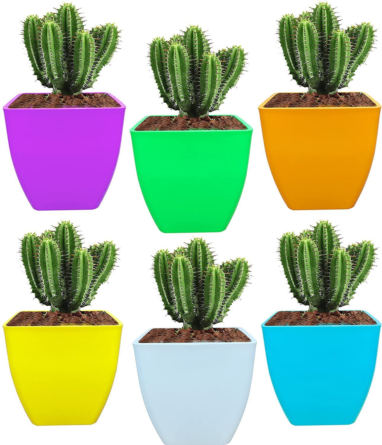 5 inch square plastic pot (Pack of 5)