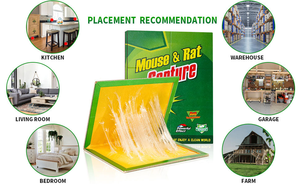 Mouse Glue Trap Pack of 10