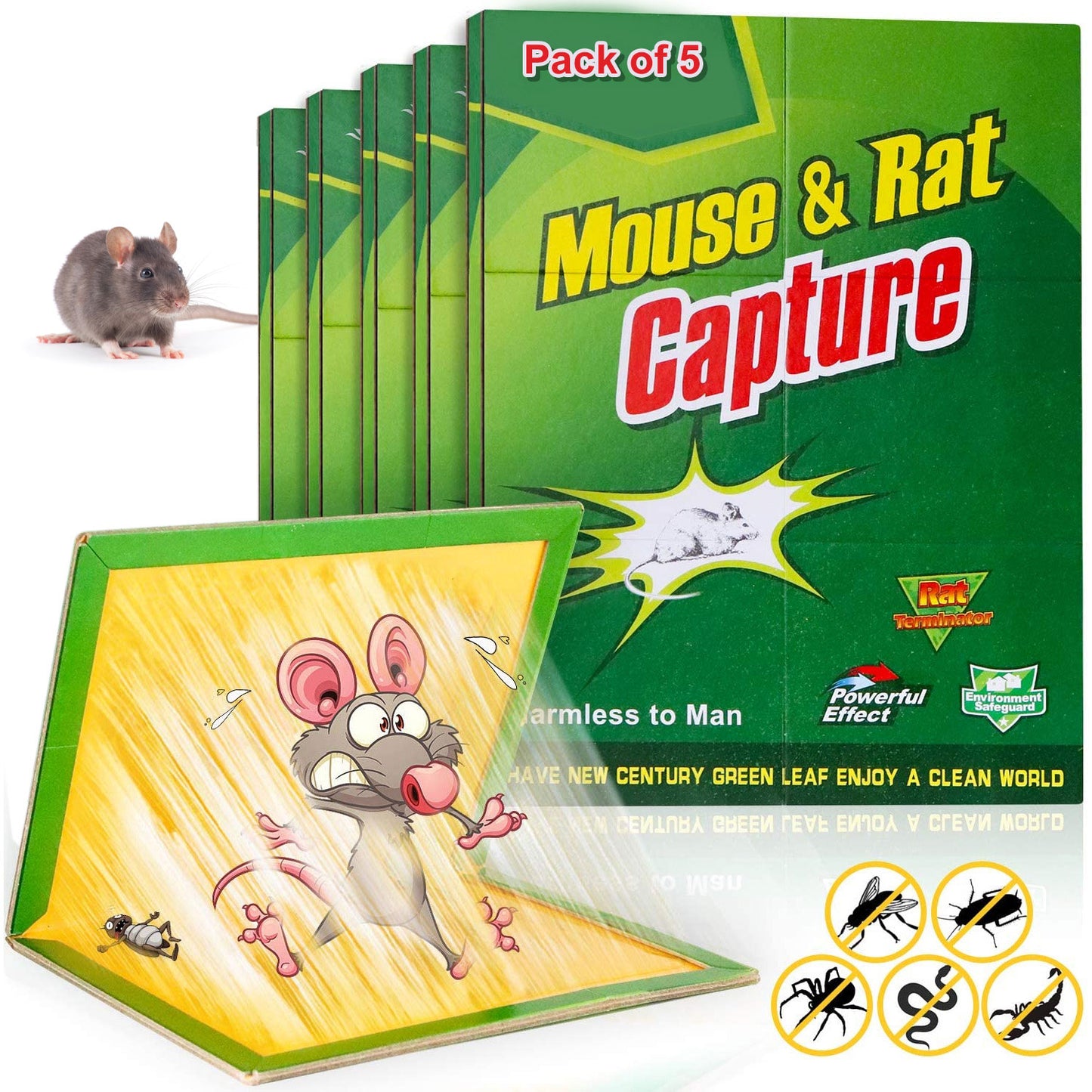 Large Mouse Glue Traps 5Pcs