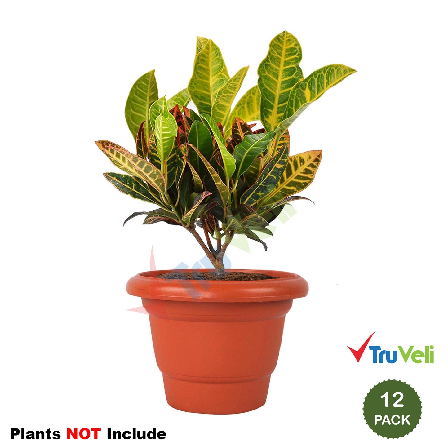 Flower Pots 6 inch (Pack of 12)